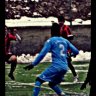 Pelle24